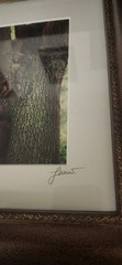 Luciano-Mario Duse Signed Numbered Christ In Tree