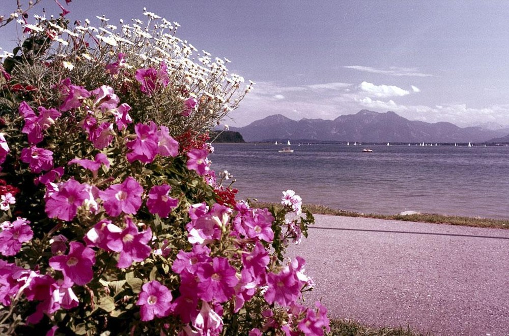 35mm slide · Chiemsee – against Hochgern