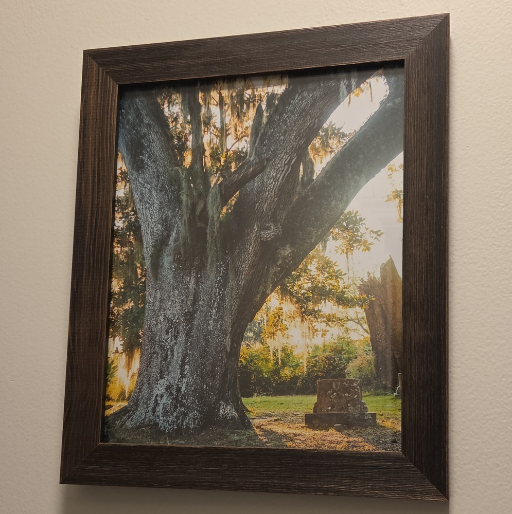Framed Color Tree Landscape Photograph Print, Portrait Orientation, Nature Theme