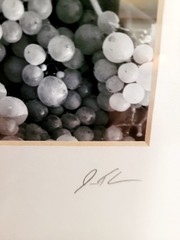 Jesse Kalisher 2001 – Vineyards at Harvest Time – Framed Original Photo Set