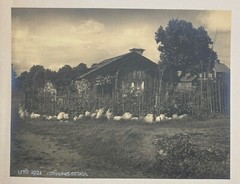 Collection of HENRY BUERGEL GOODWIN Uto Sweden & Portrait GELATIN Photographs