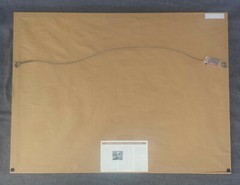 Thomas Mangelsen «Mother’s Love – Mountain Lions» Signed Limited Edition Print
