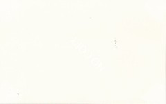 Photo pretty young woman nude art photographer unique around 1960 x175