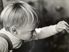 DR KC BROWN AUSTRALIAN LARGE PHOTOGRAPH B&W «YOUNG DAVID» 1980