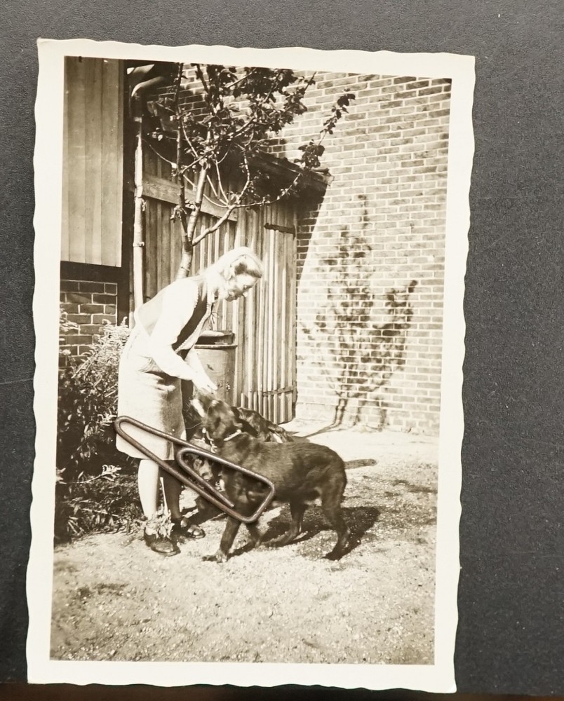 Photo Portrait Woman Young Model Pet Hunting Dog German Wirehaired 1942 WW2 Picture