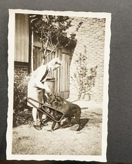 Photo Portrait Woman Young Model Pet Hunting Dog German Wirehaired 1942 WW2 Picture