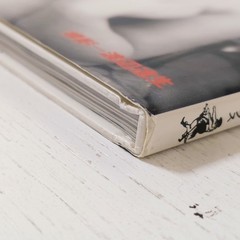 Reiko Hayama/Photo Book/Japanese Gravure Idol/Vintage/Neo Moman