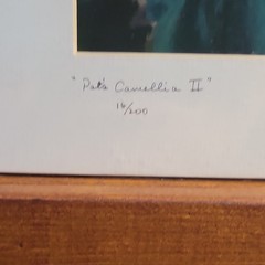 Duke Pat Brown Signed Photo Print Pats Camellia II Flower Botanical Ed 16/200