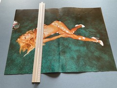 ADVERTISING BROCHURE David Lachapelle Artists And Prostitutes 1985 2006 Taschen