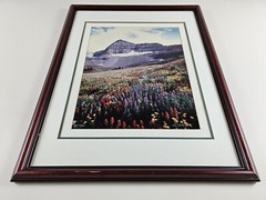 Signed Limited Edition Aaron Goldenberg 35mm Art Photograph, Utah 39×24 Framed