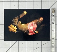 ALBERT CHONG – PROJECTIONS – Art Announcement Card 2001