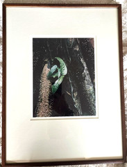 Eliot Porter signed color photgraph