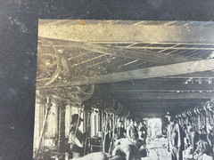 ANTIQUE AGRICULTURAL SHEARING SHEEP.SOUTH WALES, AUSTRALIA. TONED SILVER PRINT.
