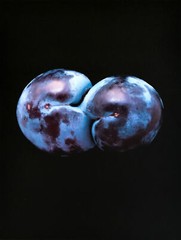 Widmann, GOOD FOOD. 4 Original-Farbfotografien.