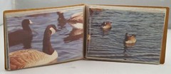 Vintage Photos Lake with Ducks, Marathon Truck, Oversize Load 70’s Winter SS02