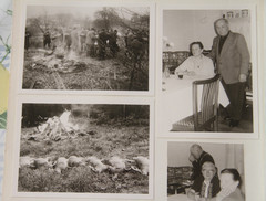 11 piece photo hunting hunter game 1962 Rhine rifle album page vintage BD