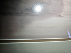 SIGNED THOMAS D. MANGELSEN WIND SONG POLAR BEARS LIMITED EDITION PRINT 117/1200