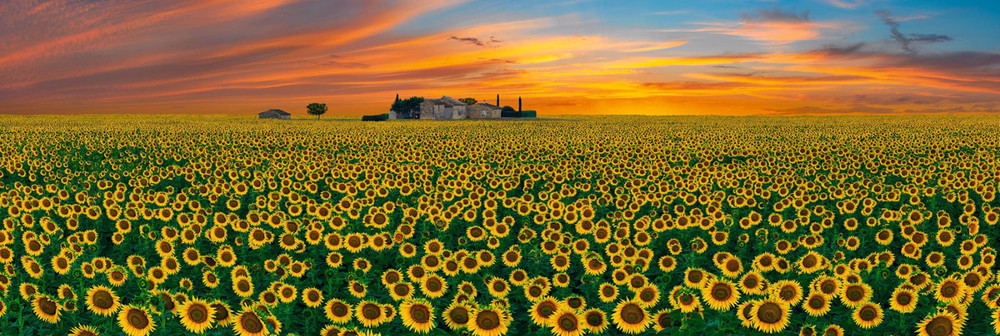 Peter Lik «Summer Romance» Limited Edition 99/200 with COA – Acrylic Mount