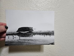 5 by 7 Black and White 35mm Film Photography Hand Made Darkroom Print Bandon OR