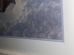 Polar Bears Carl R. Sams II Signed 25.25” x 35.25″ Framed