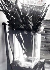 Alta Tingle Framed Flower Vase Chair, Black & White Photograph 29″ Fine Art 90s