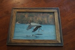 All Crossed Up – Blue Heron