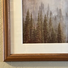 Rodney Lough The Little Rock That Could Yosemite Framed Fine Art Photograph MINT