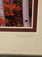 5-Piece Framed Timothy Wolcott Fine Art Photography Collection 4 Signed 1 Not
