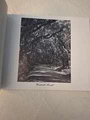 Indigo Tides by Suzanne Strout 1998 Signed by Author/Artist