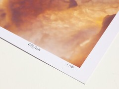 Tripe – 17″ x 22″ Fine Art Photography Print – Artistic Food Photography
