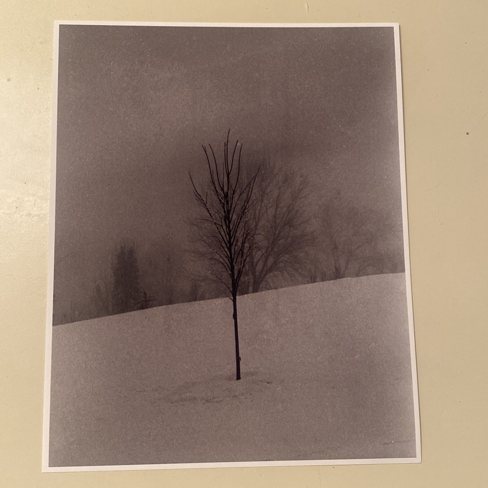 Winter Tree 8” x 10” Giclee Print