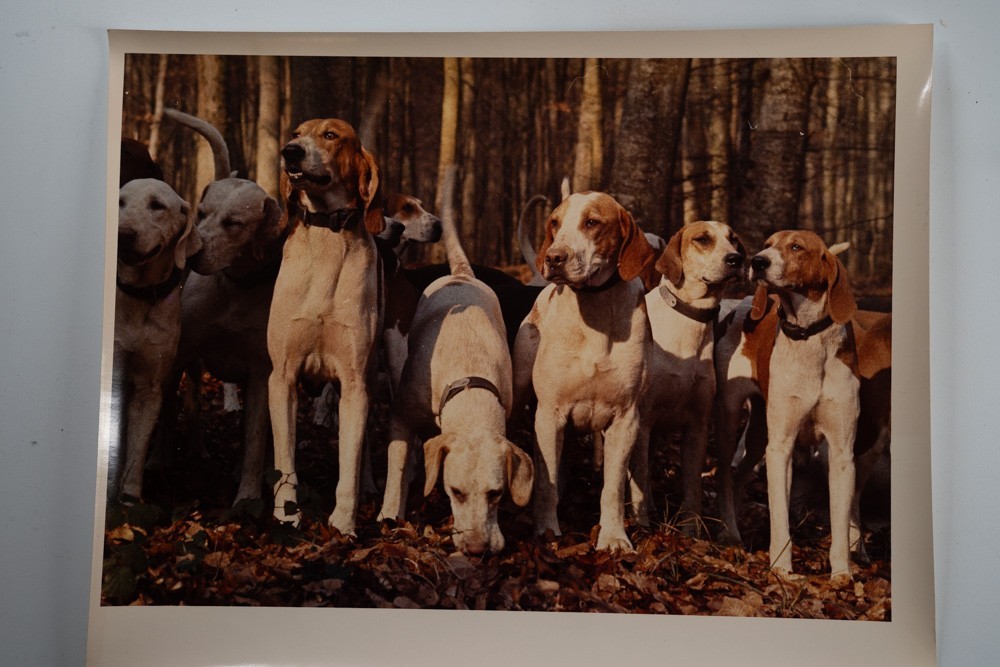 Vintage Analog Photo France Hunting Foxhunting Horse 24X30Cm 1970