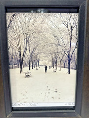 Mark Person Original Photograph Entitled Reflections in Boston Frame-Wood/Glass