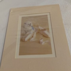 Susan Schilling 1986 Photography. Kitten and Ballet Shoes. 8 x 10