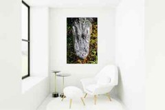 Alligator Photography Prints – Wildlife Fine Art – Sothern Animal Décor