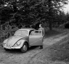 Negative-Volkswagen-Beetle-VW-Betle-Automotive-Automotive-6