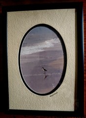 Pair Vintage Framed BARRY GAMOW NATURE PHOTOGRAPHS Signed and Double Matted NEW
