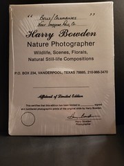Nature Photography Titled Bells By Harry Bowden Framed Sealed