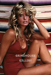 FARRAH FAWCETT Celebrity Pin-Up POSTER Print #28 Private Collection in Store