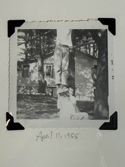 Vintage Found Photo Kids Human Pyramid Snapshot Dated April 11 1955 Children