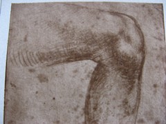 1890s RAPHAEL SANZIO -LEG DRAWING- Carbon Print/Photogravure BRAUN CLEMENS & CIE