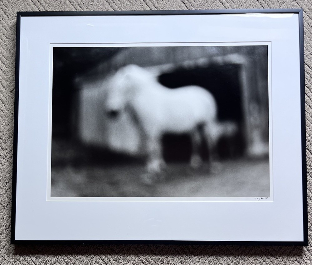 Mary Ludington Signed 1995 Framed Horse Photograph Fine Art B&W Equine 29.5×23.5