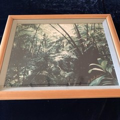 Vintage Hawaiian Rainforest Art Photography