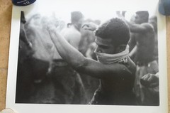 Janine Gordon Photograph Mosh Pit 20″x24″ Print Randalls Island Whitney Museum