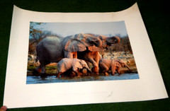 Daryl Balfour Elephents Drinking at a Waterhole 16×22