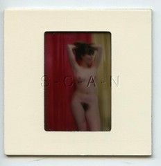 Org Camera Club Nude 1960s 35mm Slide / Negative- Super Endowed Woman- Bow #36