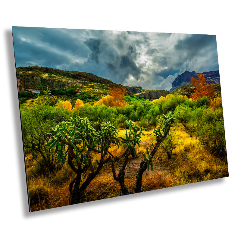 Stormy Glow: Arizona American Southwest Landscape Nature Wall Art Canvas Print
