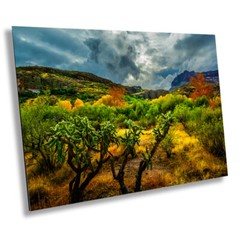 Stormy Glow: Arizona American Southwest Landscape Nature Wall Art Canvas Print