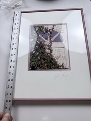 Curtis Krueger Signed Limited Edition Photo Framed Floral Window 1991