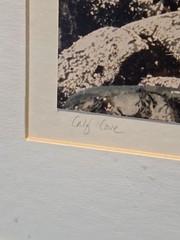 Calf Cove By Norma Warden Framed Photograph Signed Dated Vintage 1985